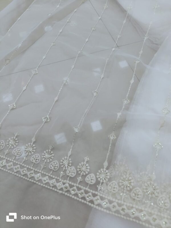 Pure Organza Lucknawi With Matching Dupatta (4)