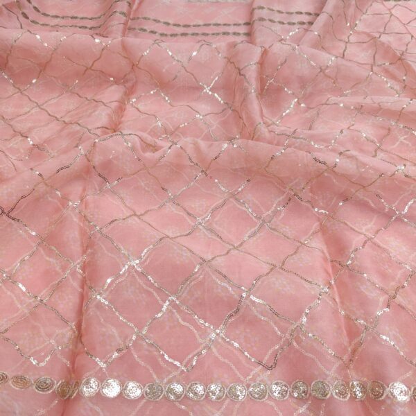 Soft Chinnon Embroidered Print Fabric (3)