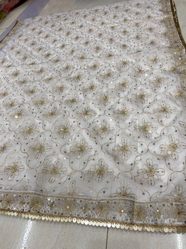 Vintage Work Georgette Dupatta (1)