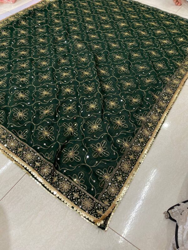 Vintage Work Georgette Dupatta (2)