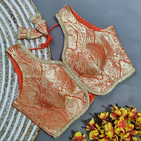 Banarasi Party Festival Wear Blouse (13)