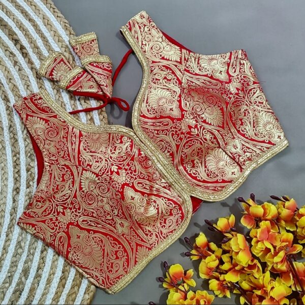 Banarasi Party Festival Wear Blouse (3)