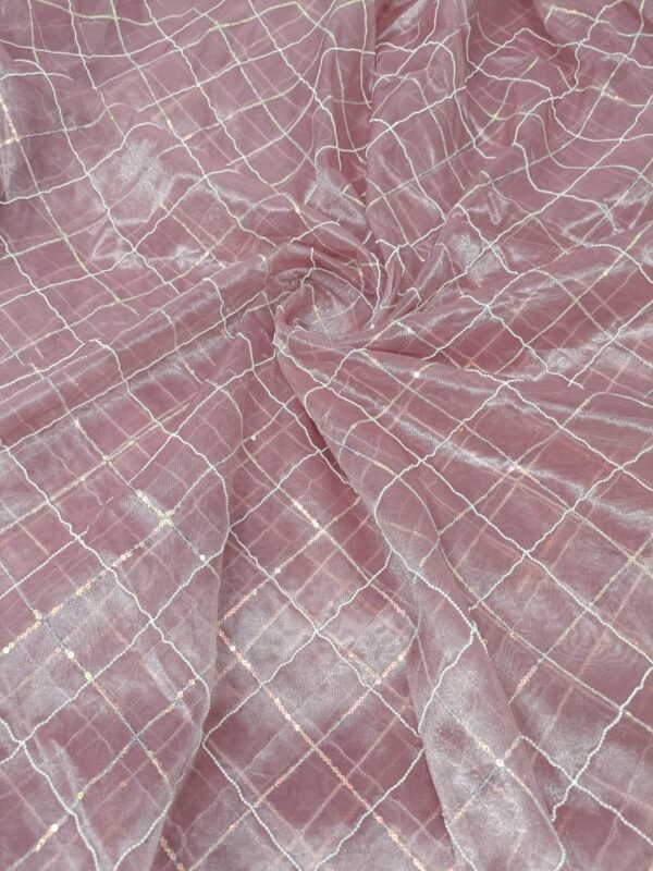 Soft Shimmer Net Fabric With Moti & Sequin Work 46 (3)