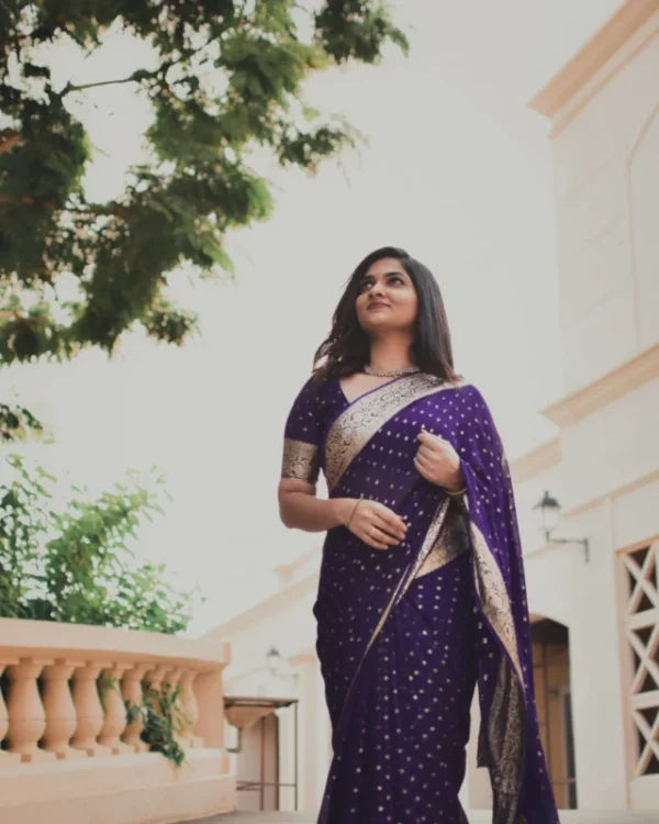Georgette viscose banarasi weaving saree running blouse - High-Quality Fabric