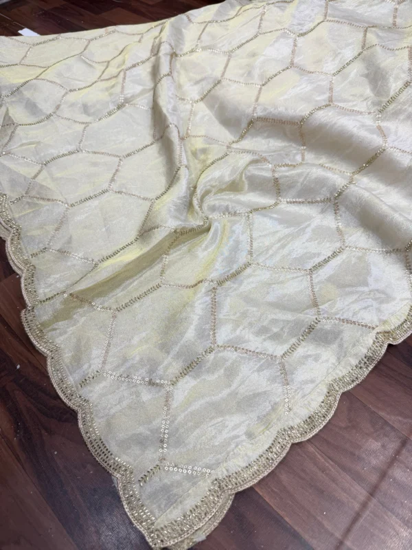 Pure shimmer tissue silk dyeable hand cutwork dupatta 25m - High-Quality Fabric