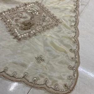 Pure shimmer tissue silk dyeable hand cutwork dupatta 25m - High-Quality Fabric