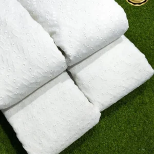 Pure white hakoba fabric 8211 latest design 428243 panna 388243 work - High-Quality Fabric
