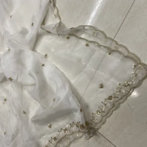 Dyeable pure organza dupatta with scalloped handwork and beads - High-Quality Fabric