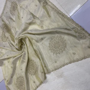Pure dyeable shimmer tissue silk hand work daman designs - High-Quality Fabric
